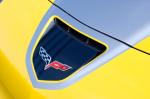 Chevrolet Corvette GT1 Championship edition 2009 года